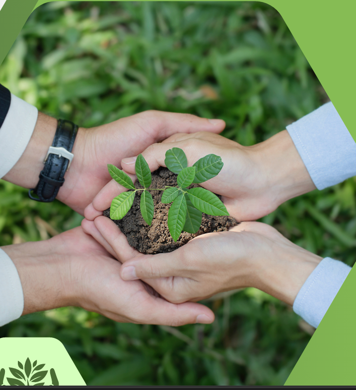 Eco Leaf Polymers Sprout Logo Visual